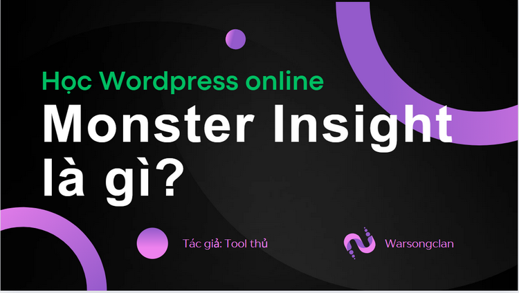 Cách Tối Ưu Hoá Website WordPress với MonsterInsights: Thay Thế Plugin Google Analytics Tốt Nhất 2024