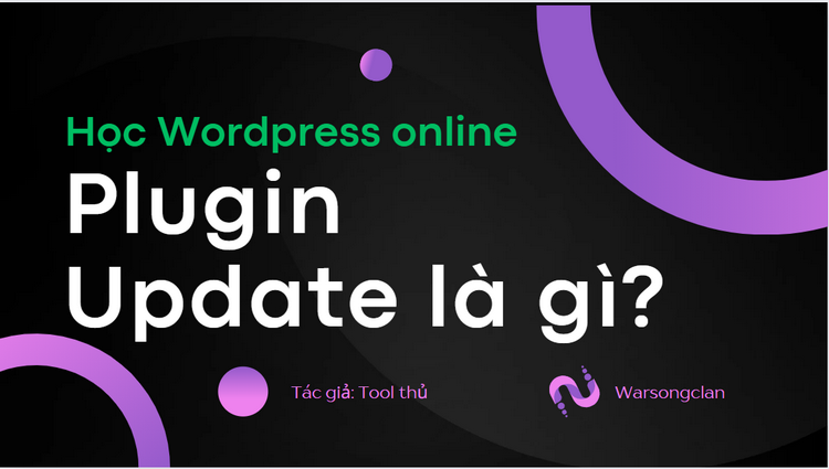 Plugin Update: Tầm quan trọng và cách cập nhật hiệu quả cho website WordPress 2024